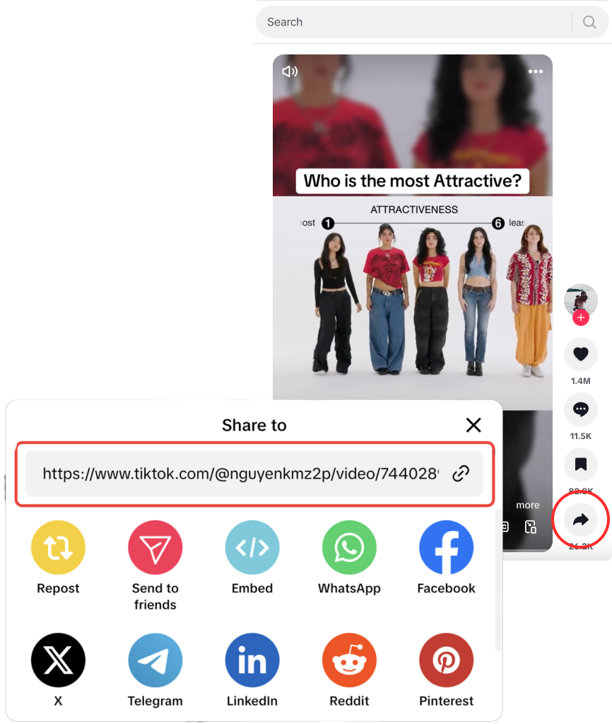Tiktok Media Downloader Tiktok Media Downloader