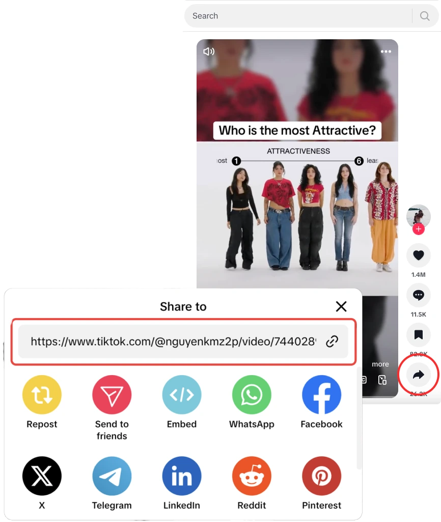 Tiktok Media Downloader Tiktok Media Downloader